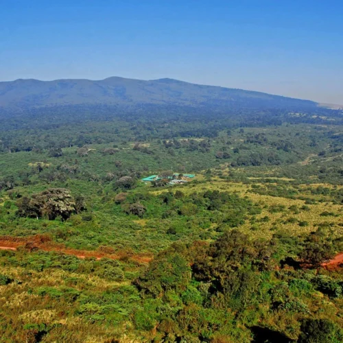 Ngorongoro Crater wildlife and caldera scenery during a Tanzania safari
