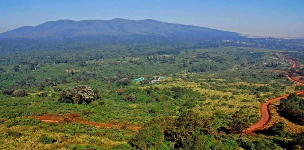 Ngorongoro Crater wildlife and caldera scenery during a Tanzania safari