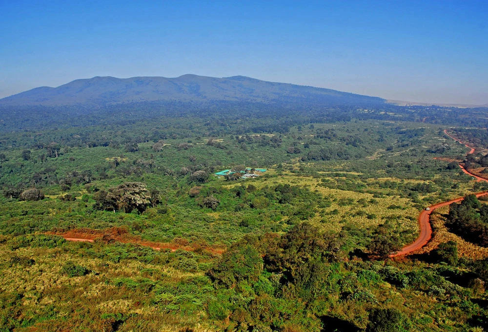 Ngorongoro Crater wildlife and caldera scenery during a Tanzania safari