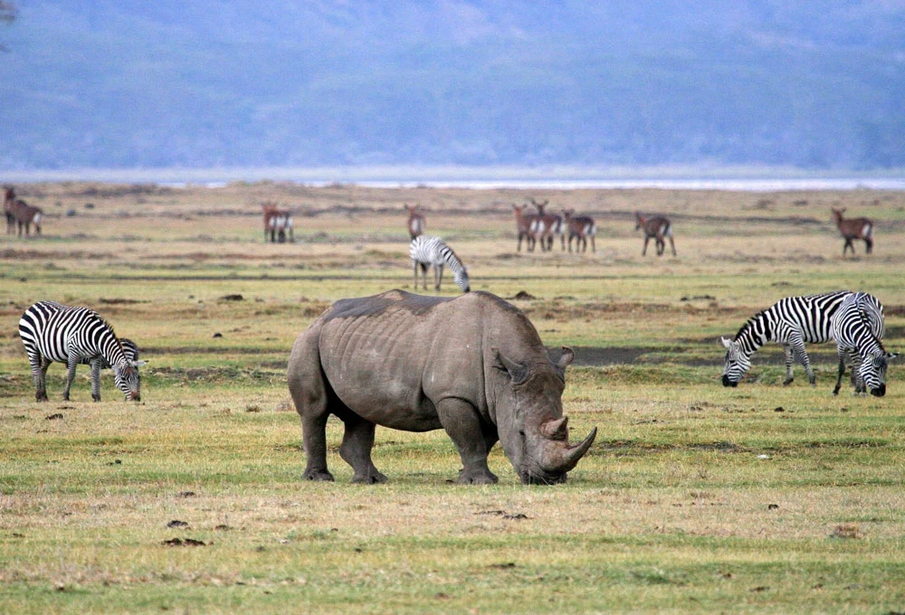 Ngorongoro Crater — related Tanzania destination