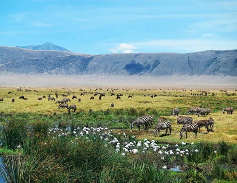 Ngorongoro Crater