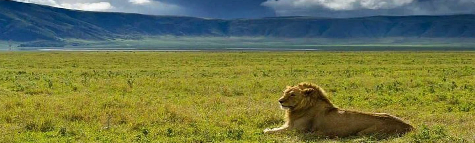 Ngorongoro Crater