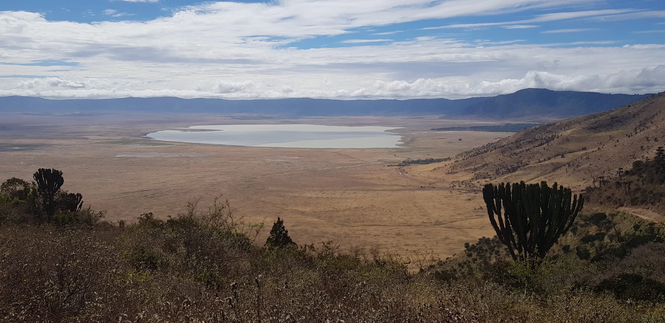Ngorongoro crater wildlife safari and scenic caldera adventure tanzania