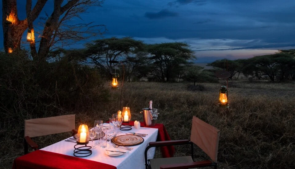 Private Bush Dinner With Candles At Luxury Tanzania Safari Camp Alternate View 02 1