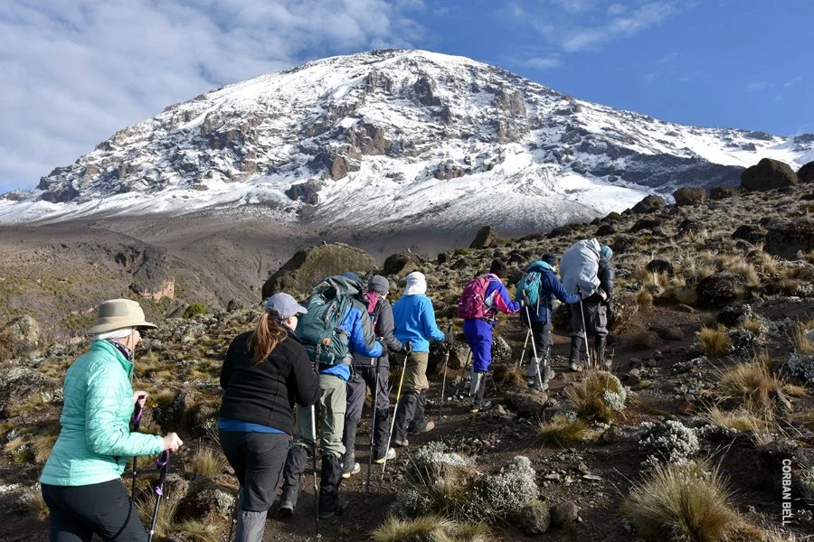 Professional Local Tanzania Guides And Travel Team Supporting Safari And Climbing Guests Alternate View 11 1