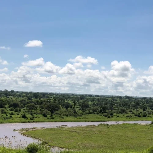 Grand Tanzania wildlife and cultural safari landscape