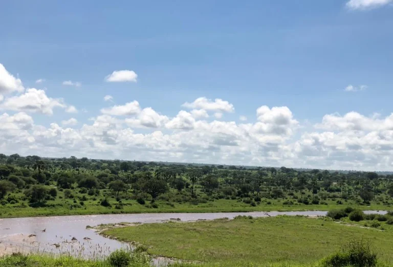 Tanzania itinerary weather changes travel guide by Everyday Safaris in Tanzania
