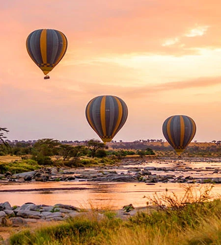 Serengeti wildlife and open savannah on a Tanzania safari