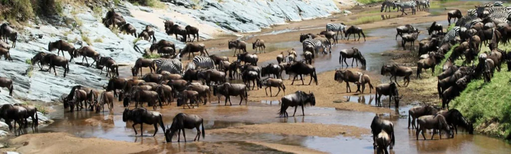 Serengeti National Park Wildlife Safari And Open Savannah Adventure Tanzania Alternate View 07 1