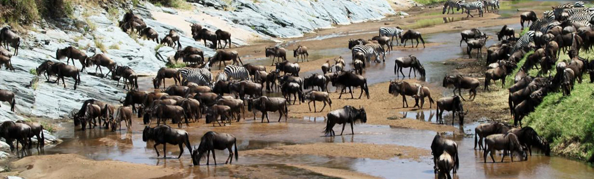 Serengeti National Park safari destination in Tanzania