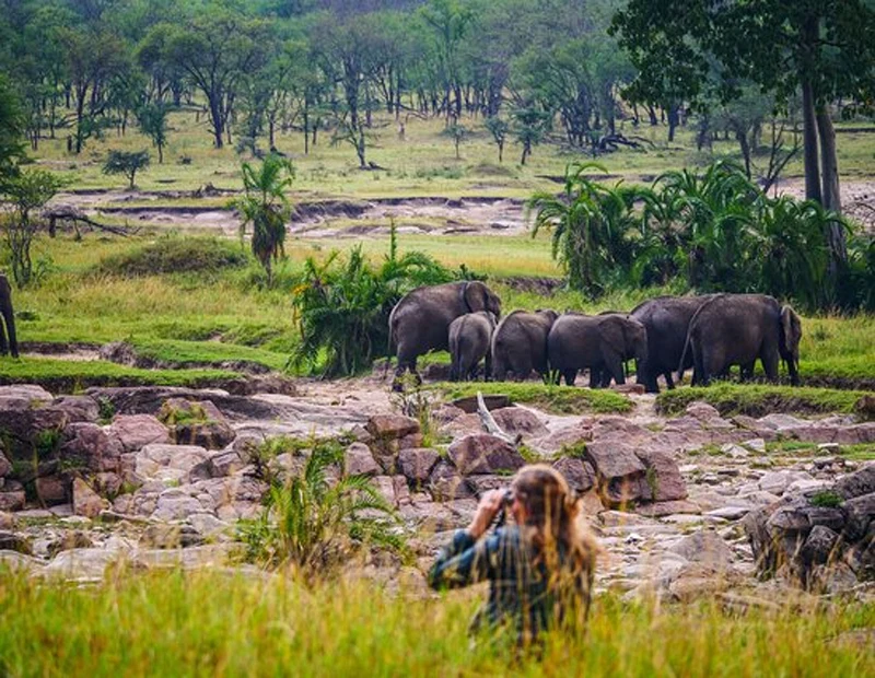 Serengeti National Park safari destination in Tanzania