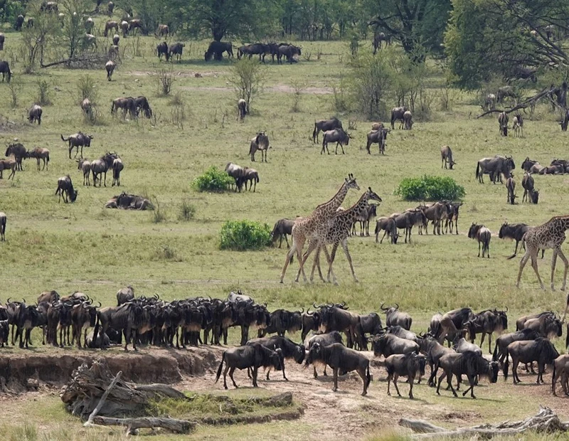 Serengeti National Park
