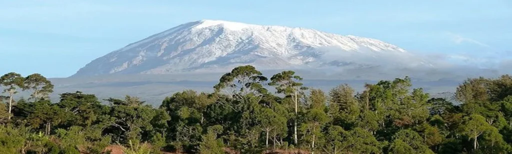 Snow capped mount kilimanjaro view from mount meru trekking route tanzania