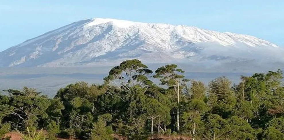 Snow capped mount kilimanjaro view from mount meru trekking route tanzania