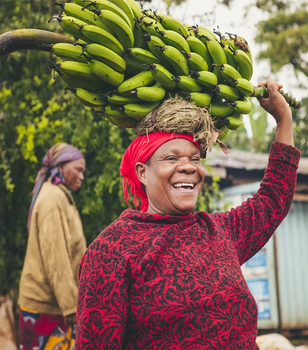 Tanzania Banana Farm And Local Cultural Experience In Kilimanjaro Region 1