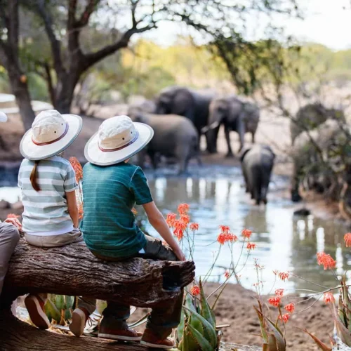 Family enjoying a wildlife safari in Tanzania with local guides