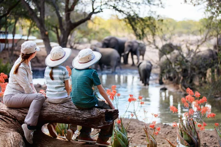 Kilimanjaro International Airport arrival travel guide by Everyday Safaris in Tanzania