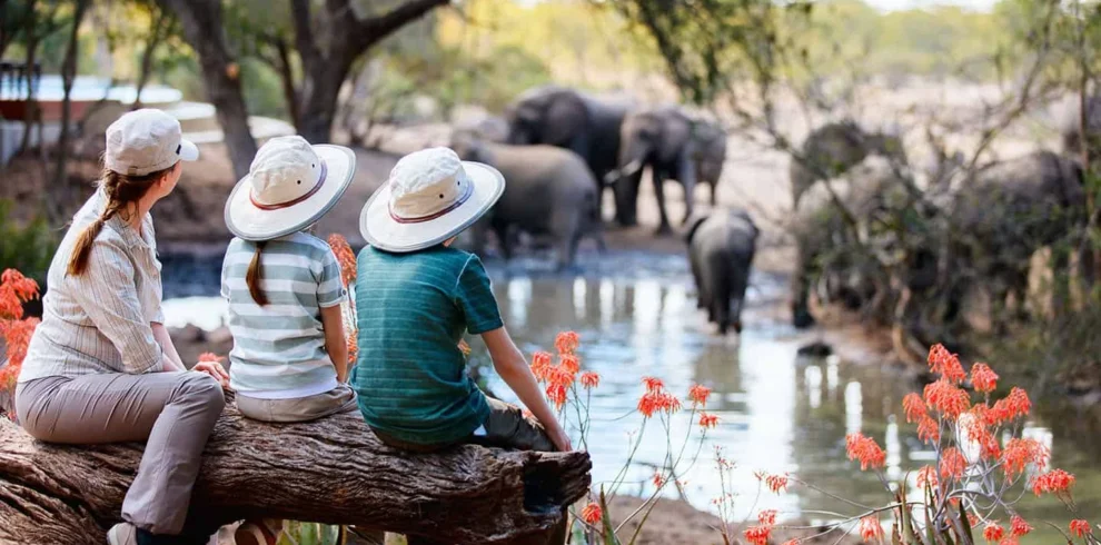 Family enjoying a wildlife safari in Tanzania with local guides