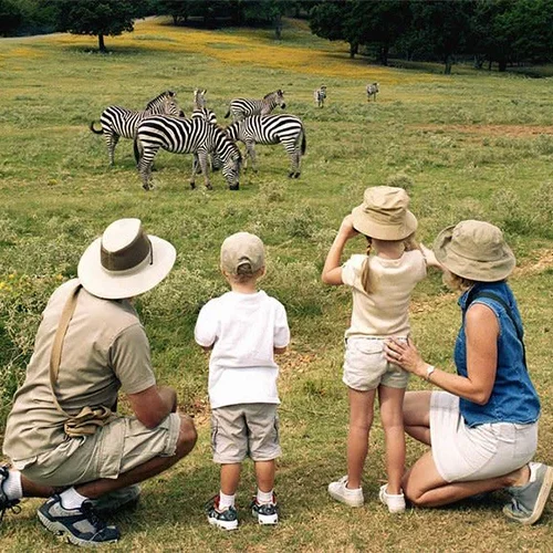 Family-friendly Tanzania safari across Tarangire Serengeti and Ngorongoro