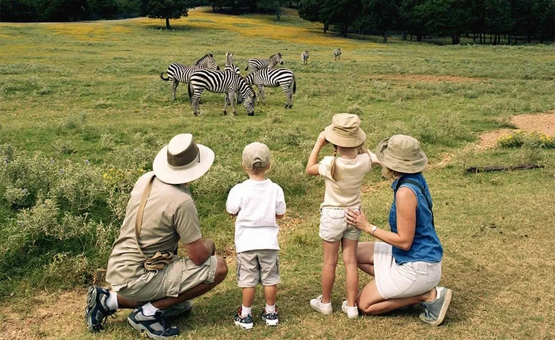 Family-friendly Tanzania safari across Tarangire Serengeti and Ngorongoro