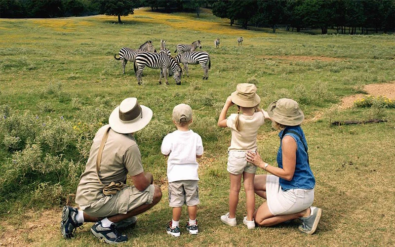 Family-friendly Tanzania safari across Tarangire Serengeti and Ngorongoro