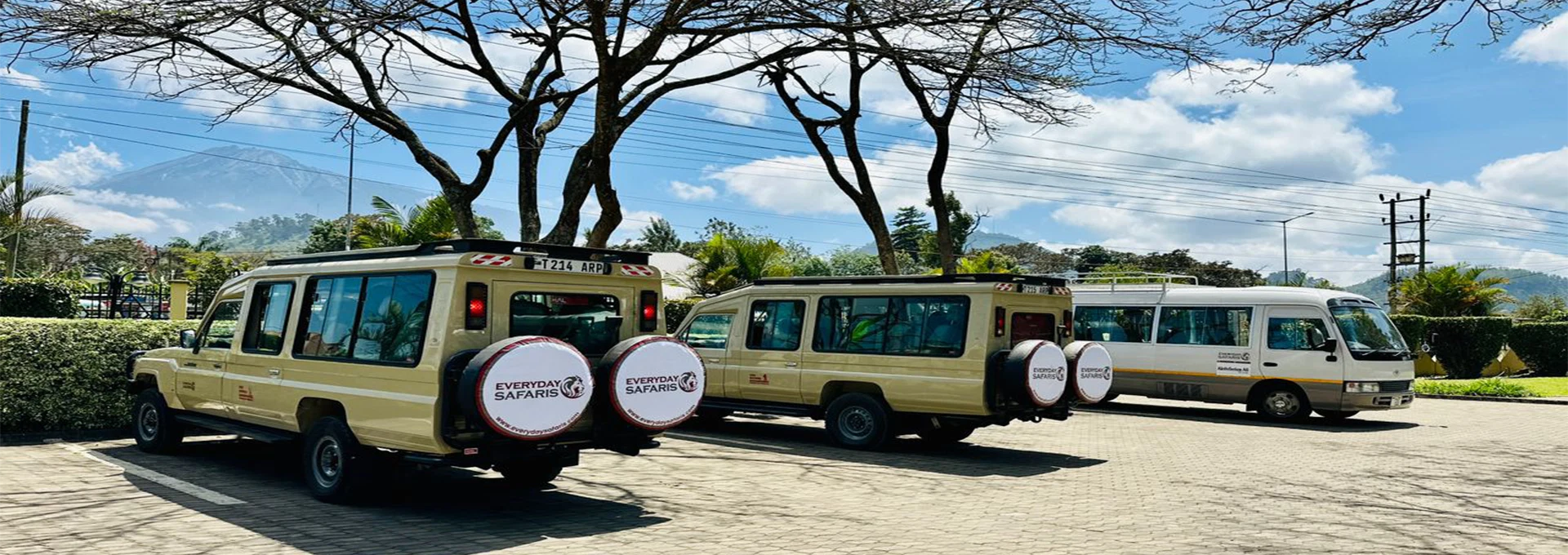 Luxury Tanzania Safaris