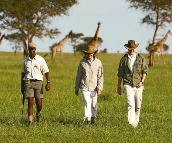 Tanzania Safari Four Wheel Drive Vehicles For Private Wildlife Game Drives 1