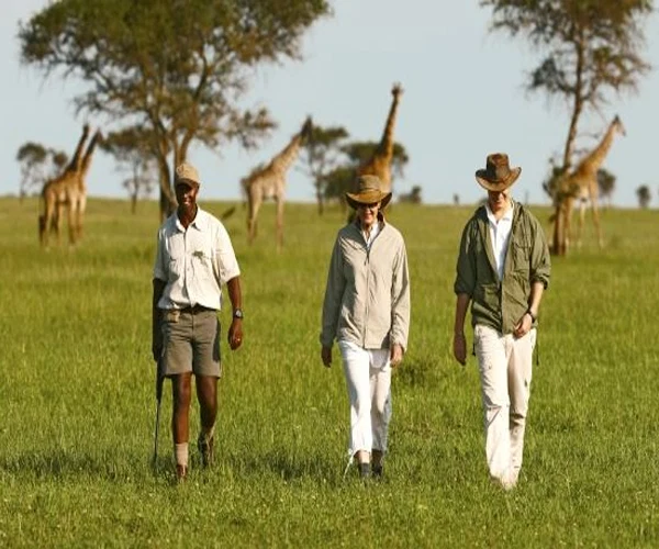 Tanzania Safari Four Wheel Drive Vehicles For Private Wildlife Game Drives Alternate View 02 1