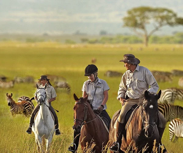 Tanzania Safari Four Wheel Drive Vehicles For Private Wildlife Game Drives Alternate View 03 1