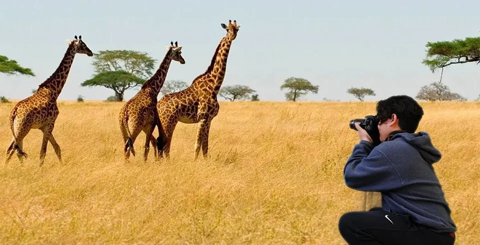 Private wildlife safari across Tanzania national parks