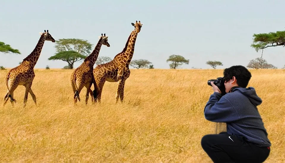 Private wildlife safari across Tanzania national parks
