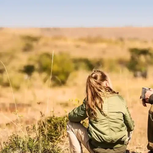 Private Tanzania safari across Serengeti Ngorongoro and Tarangire