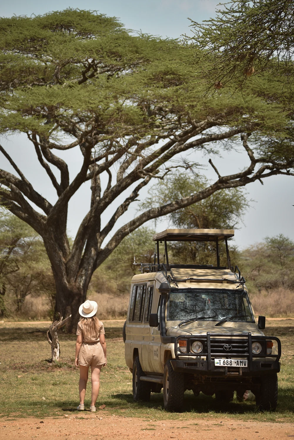Great Migration and Tanzania wildlife safari experience