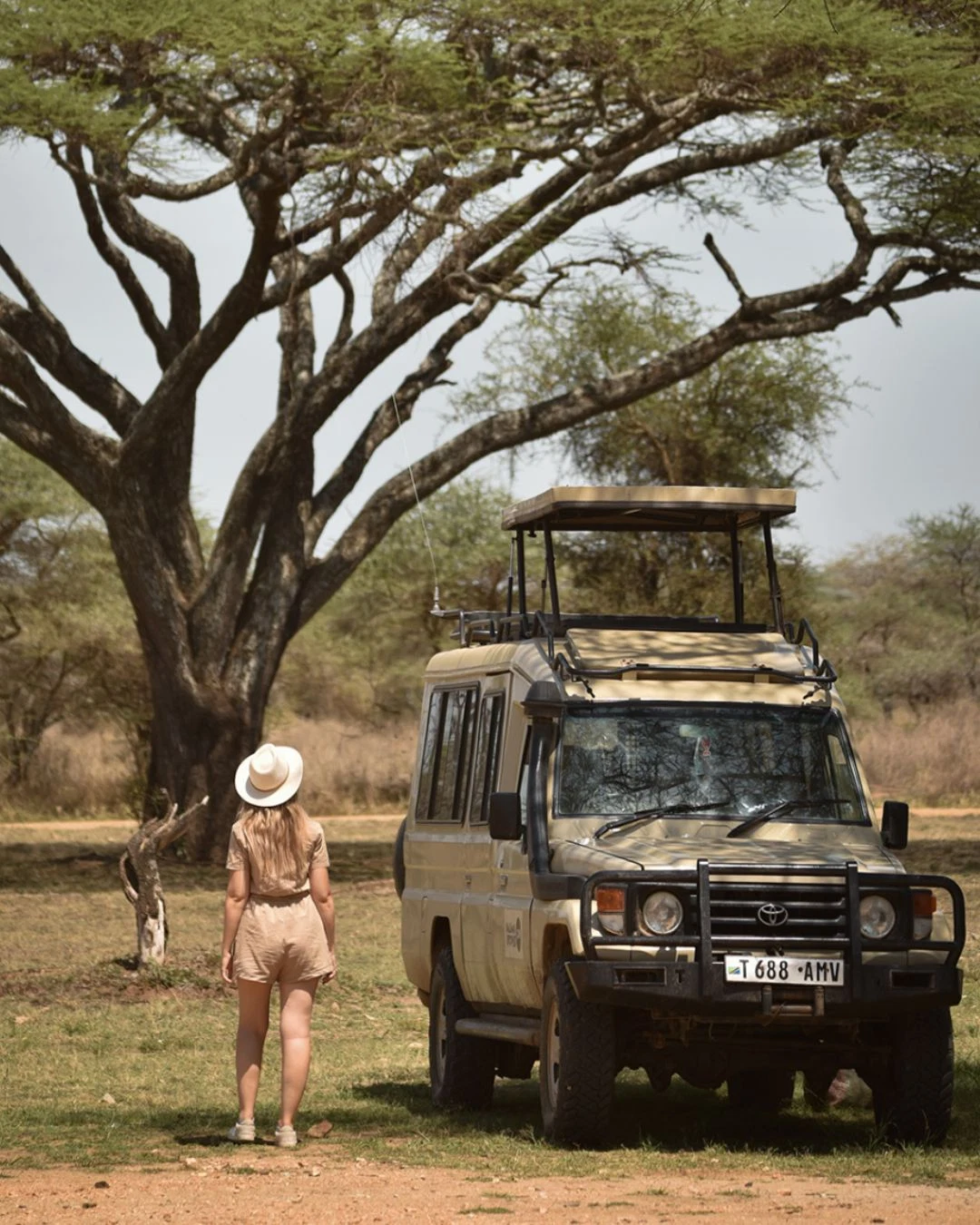 Great Migration and Tanzania wildlife safari experience