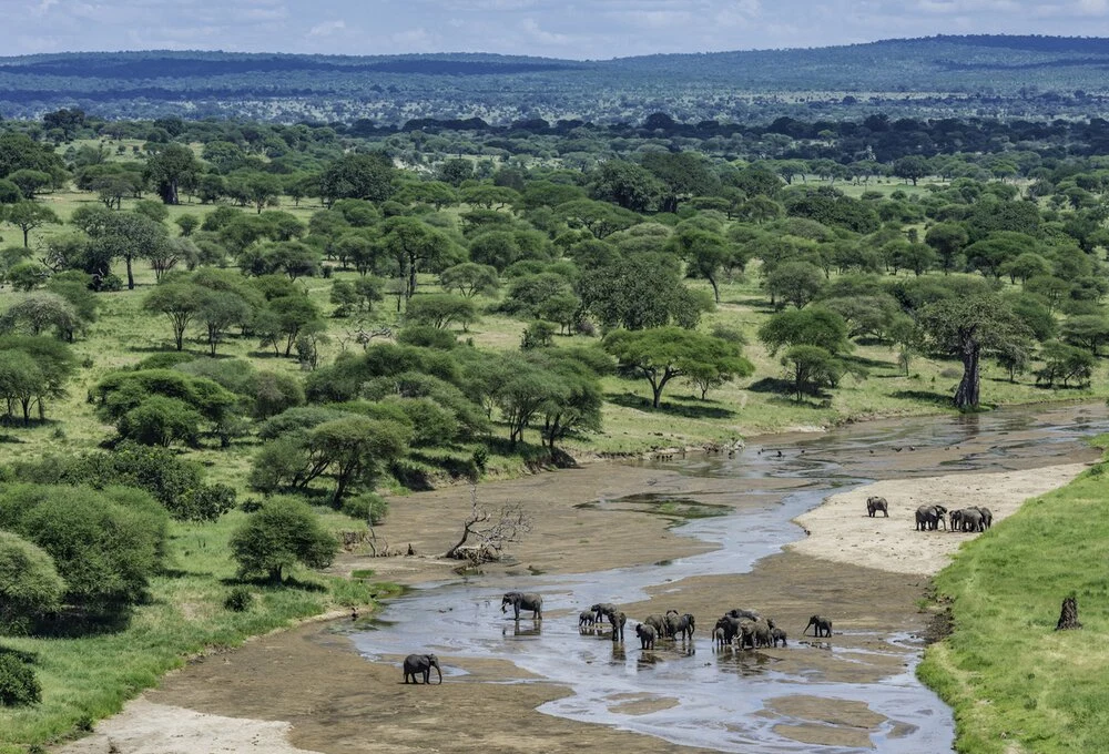 Tarangire National Park — related Tanzania destination