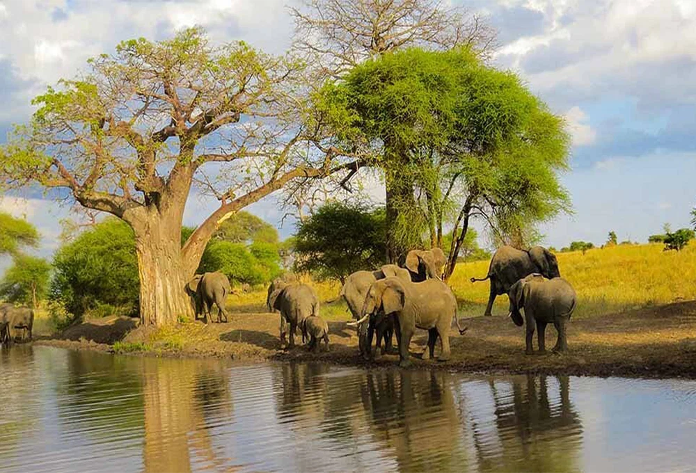 Tarangire National Park — related Tanzania destination