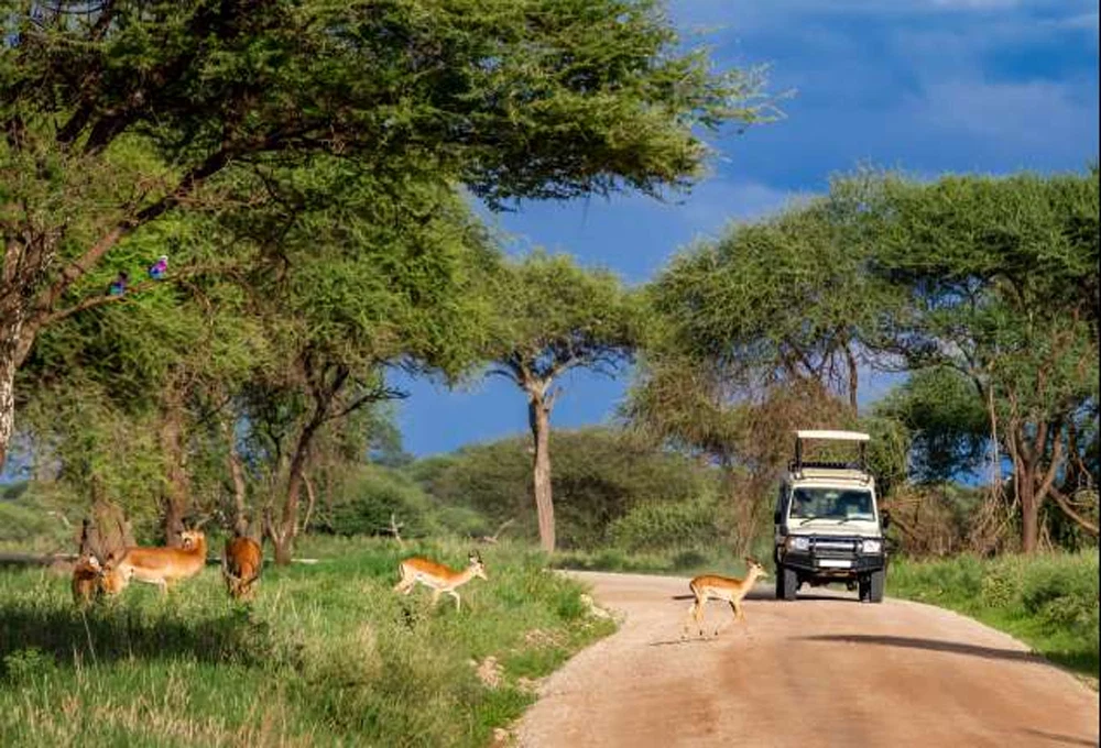 Tarangire National Park — related Tanzania destination