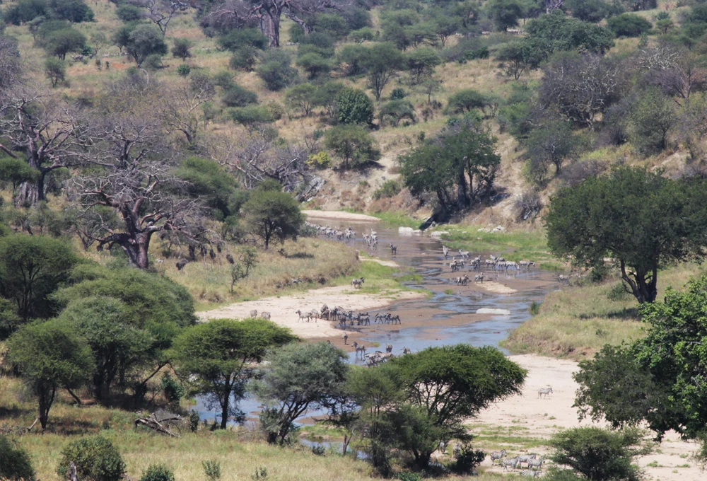 Tarangire National Park