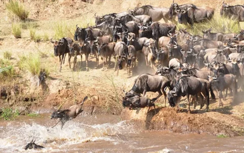 Serengeti National Park