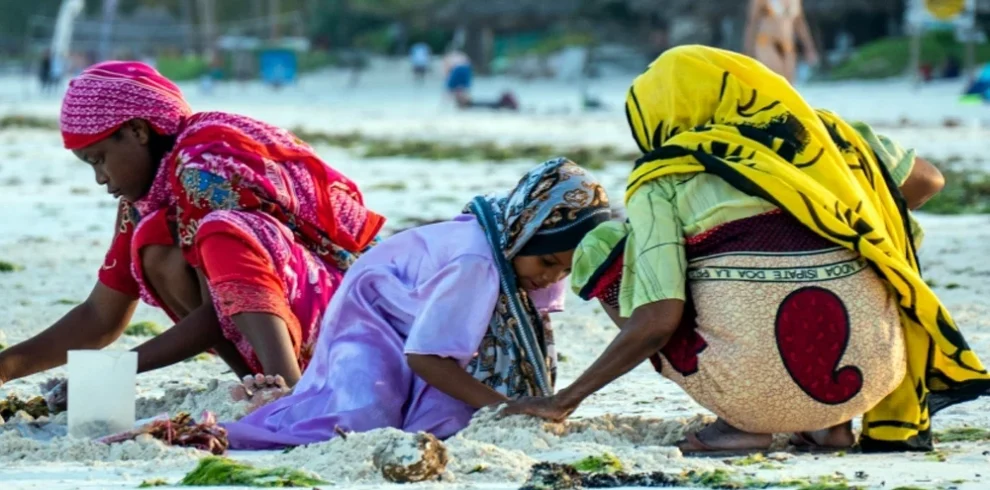 Zanzibar rainy season travel guide by Everyday Safaris in Tanzania