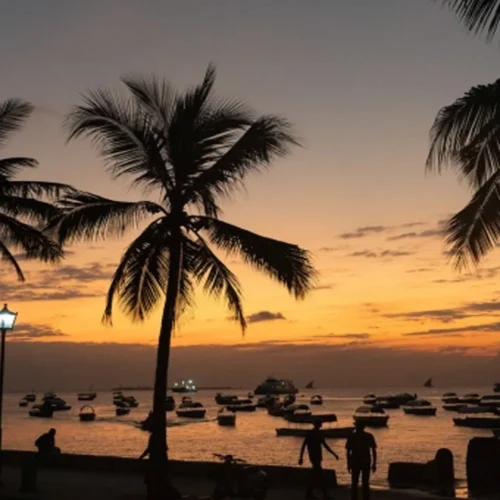 Romantic Zanzibar beach sunset beneath palm trees